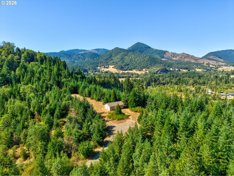 More Photos Of 1517 Quines Creek Rd, Azalea Specialty For Sale