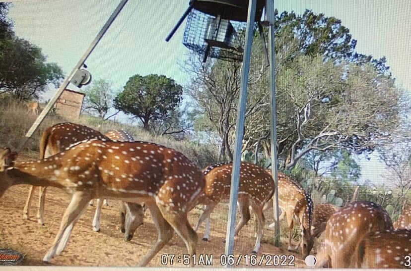 More Photos Of 629 Elliott Rd, London Land For Sale