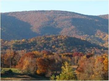 More Photos Of 1005 Heathercroft Cir, Crozet Apartments For Lease