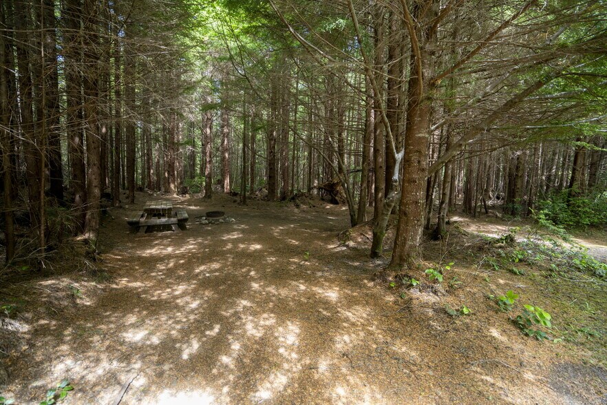 More Photos Of 20860 Hoko Ozette Rd, Clallam Bay Trailer Camper Park For Sale