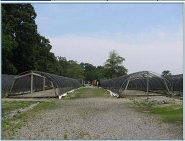 Primary Photo Of 211 Burrs Ln, Dix Hills Land For Sale