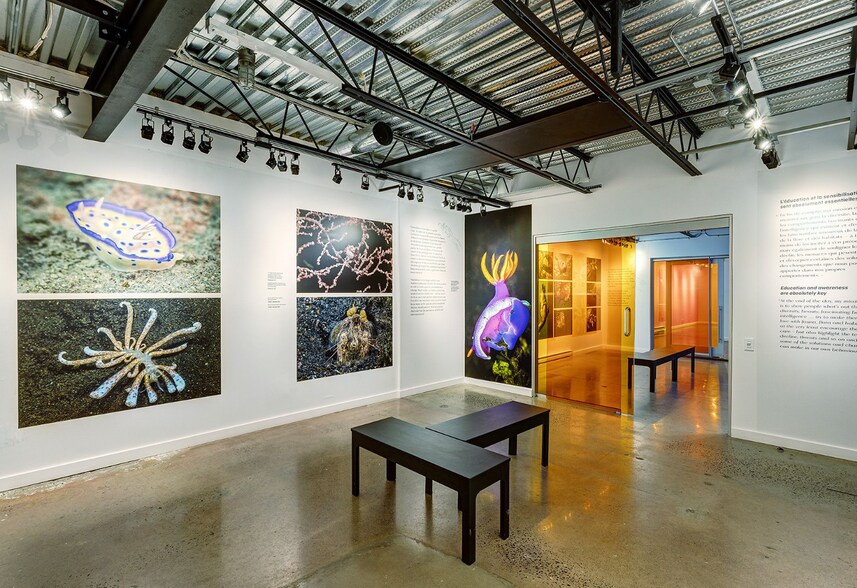 More Photos Of 7049 Rue Saint-Urbain, Montréal Showroom For Sale