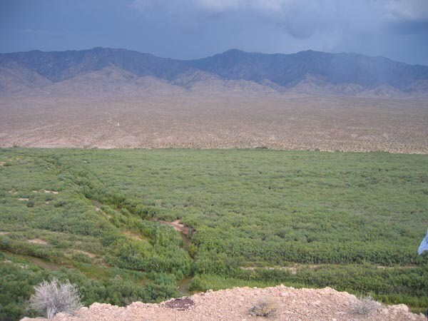 More Photos Of 590 N Virgin Acres Blvd, Littlefield Land For Sale