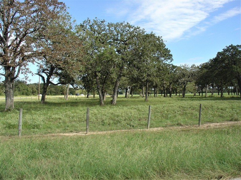 More Photos Of 53681 US 290 Hwy, Hempstead Land For Sale