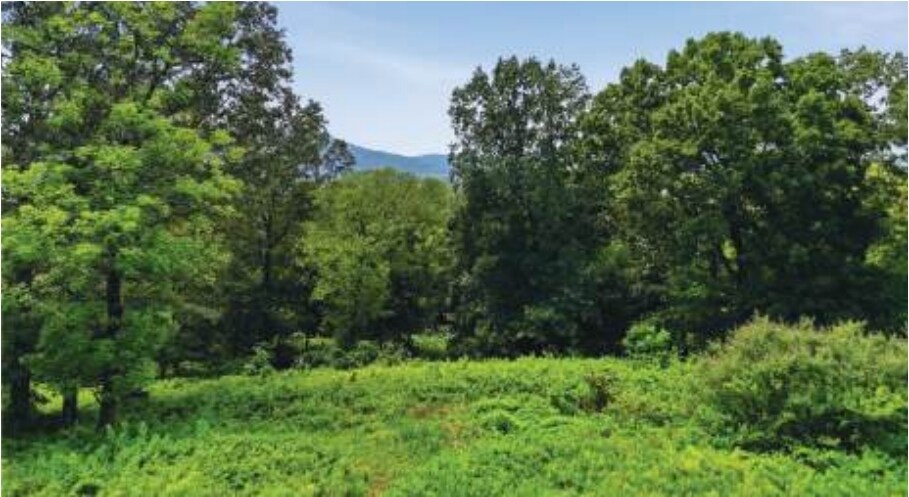 More Photos Of 3197 16th Ave, Chattanooga Land For Sale
