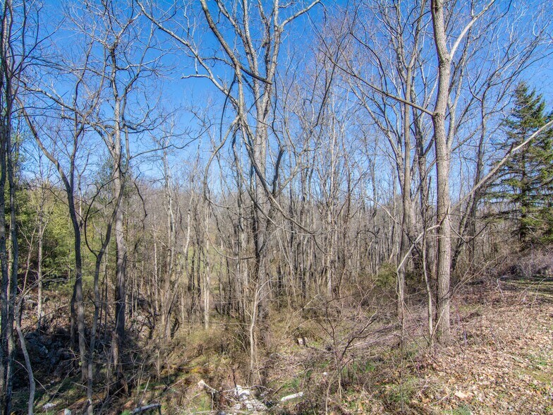 More Photos Of 000 Russ Ave, Waynesville Land For Sale
