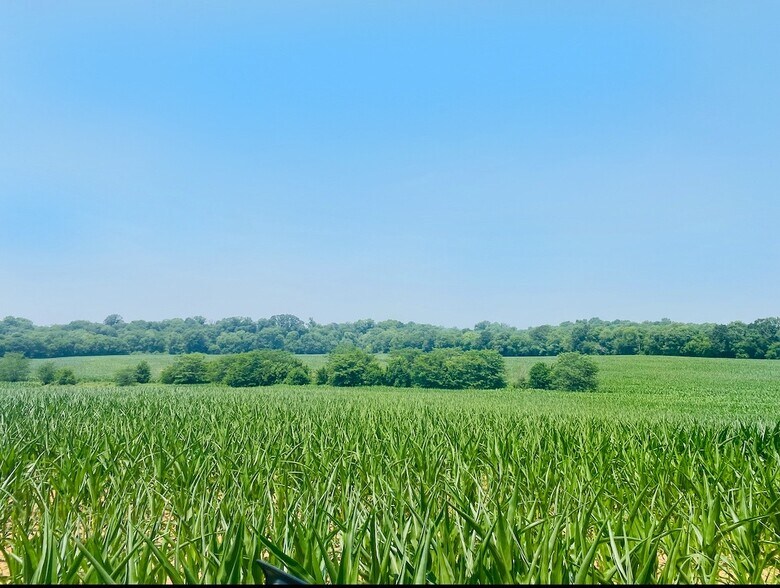 More Photos Of 530 Branham Mill Rd, Gallatin Land For Sale