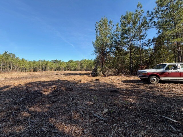 More Photos Of 319 - 547 Sisters Ferry Road, Ridgeland Land For Sale