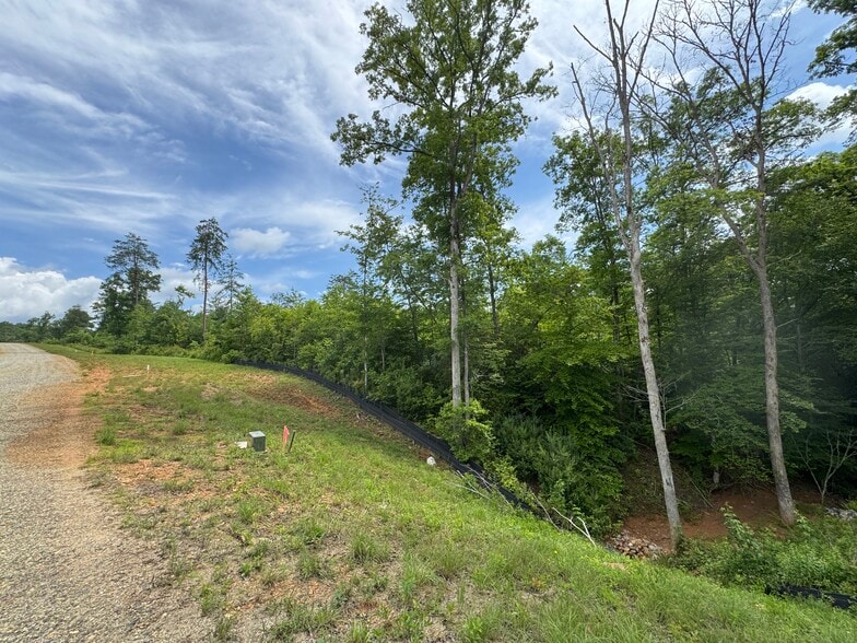 More Photos Of Hwy 515, Morganton Land For Sale