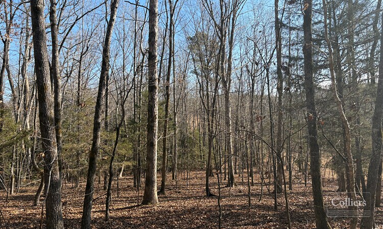 More Photos Of 00 Painter Road Rd, Pelzer Land For Sale