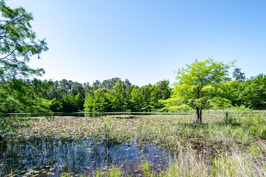 More Photos Of 1331 McCaleb Rd, Montgomery Land For Sale