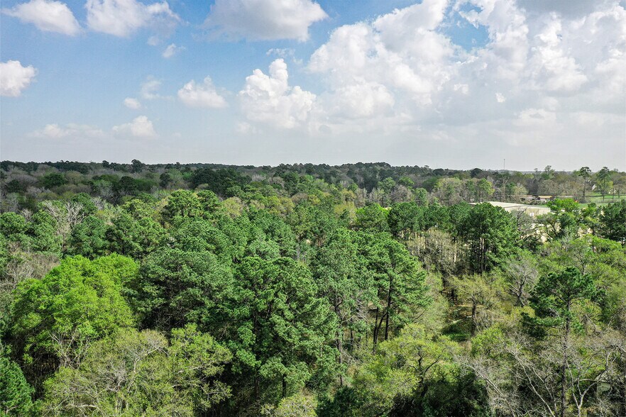 More Photos Of 4 Acres Highway 75 N, Willis Land For Sale