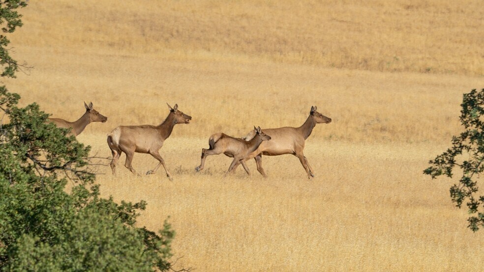 More Photos Of 47069 Crump Ln, Coalinga Land For Sale