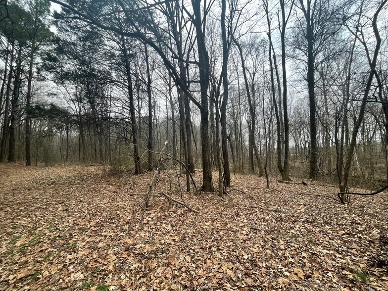 More Photos Of 0 Hwy 70 & Browns Church Road hwy, Jackson Land For Sale
