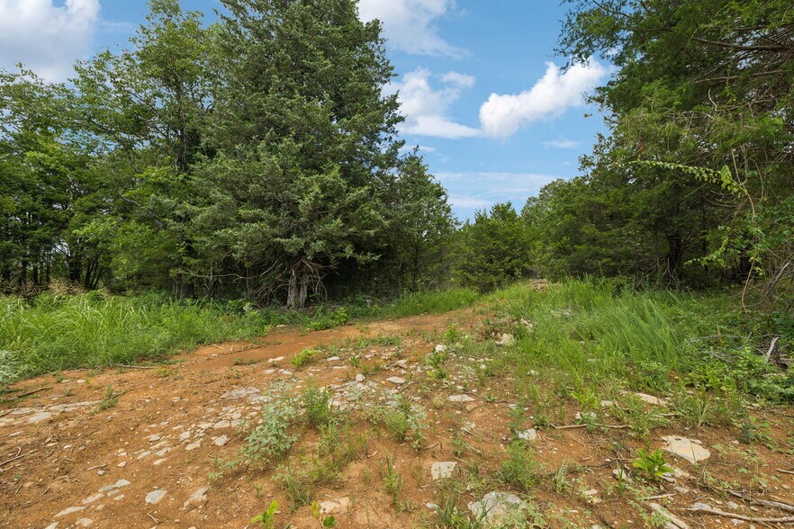 More Photos Of 7665 Shelbyville Pike, Christiana Land For Sale