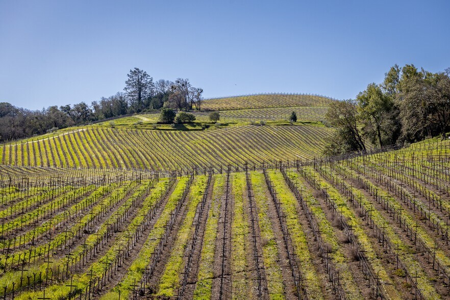 More Photos Of 13700 Rockpile Rd, Geyserville Land For Sale