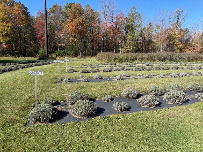 More Photos Of W6098 Stelling Rd, Tomahawk Land For Sale