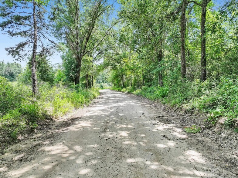 More Photos Of 8323 County Road 292, Buffalo Land For Sale