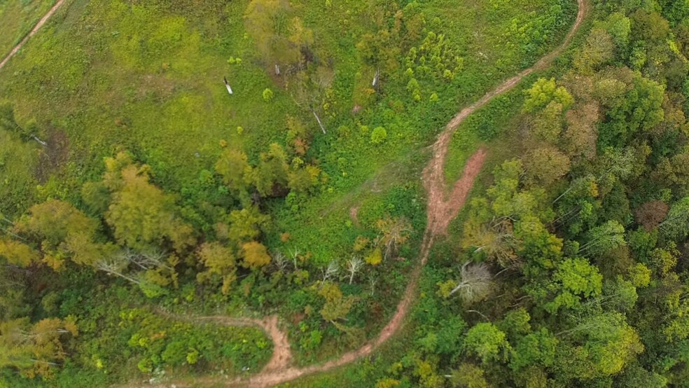 More Photos Of 799 County Road 213, Scottown Land For Sale