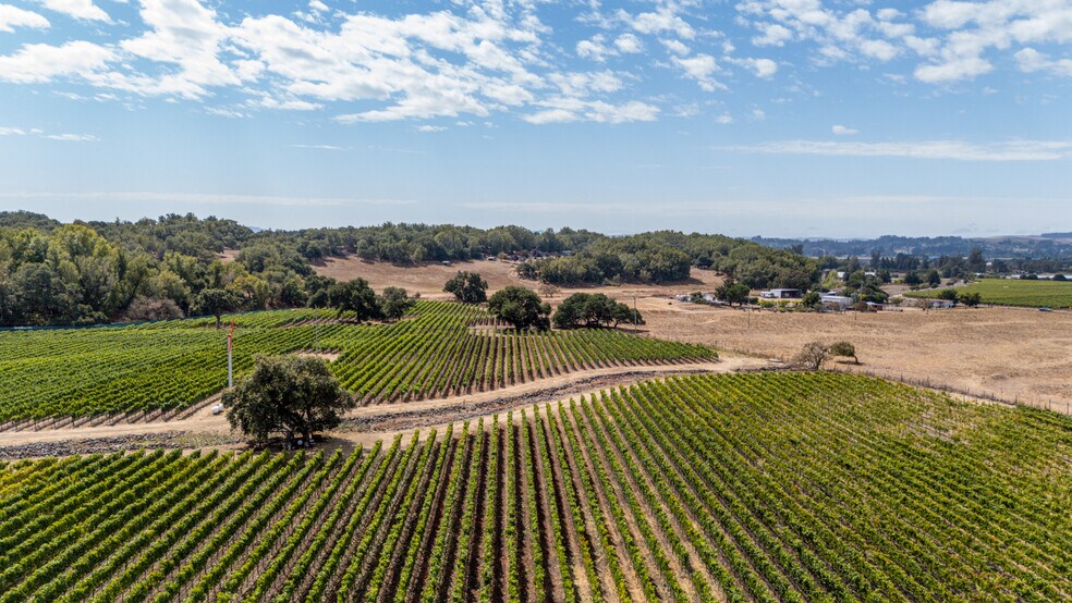 More Photos Of 3340 Lichau Rd, Penngrove Land For Sale