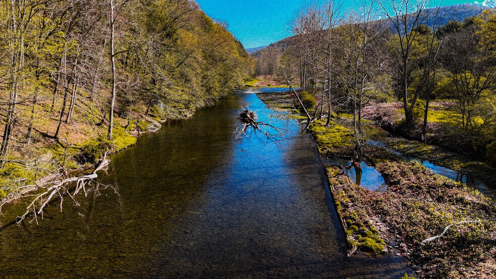 More Photos Of 159 Rockland Rd, Roscoe Hotel For Sale