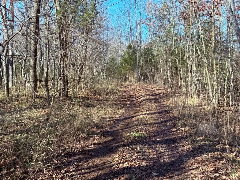 More Photos Of 4604 Summersville Rd, Campbellsville Land For Sale
