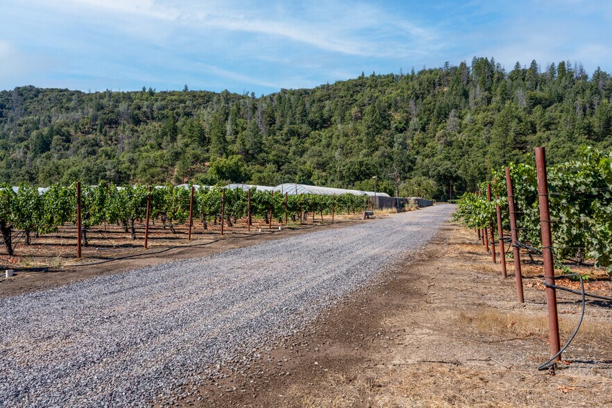 More Photos Of 2000 Clover Valley Rd, Upper Lake Land For Sale