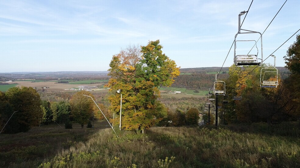 More Photos Of 1135 Toggenburg Rd, Fabius Land For Sale
