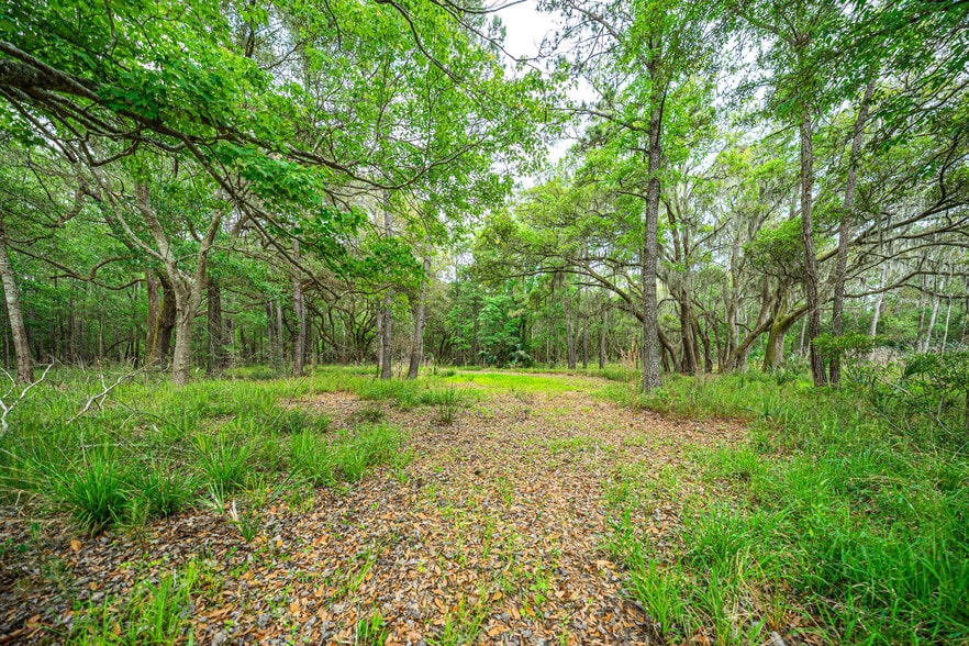 More Photos Of 0 King Rail Lane, Edisto Island Land For Sale