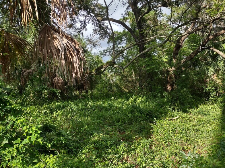 More Photos Of 507 Anclote Rd, Tarpon Springs Land For Sale