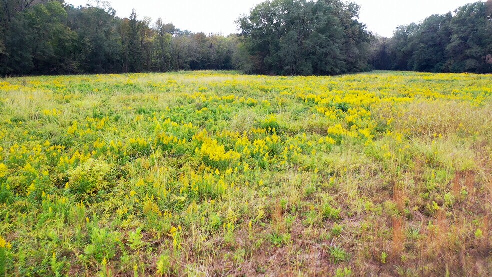 More Photos Of 5015 FM 561, Simms Land For Sale