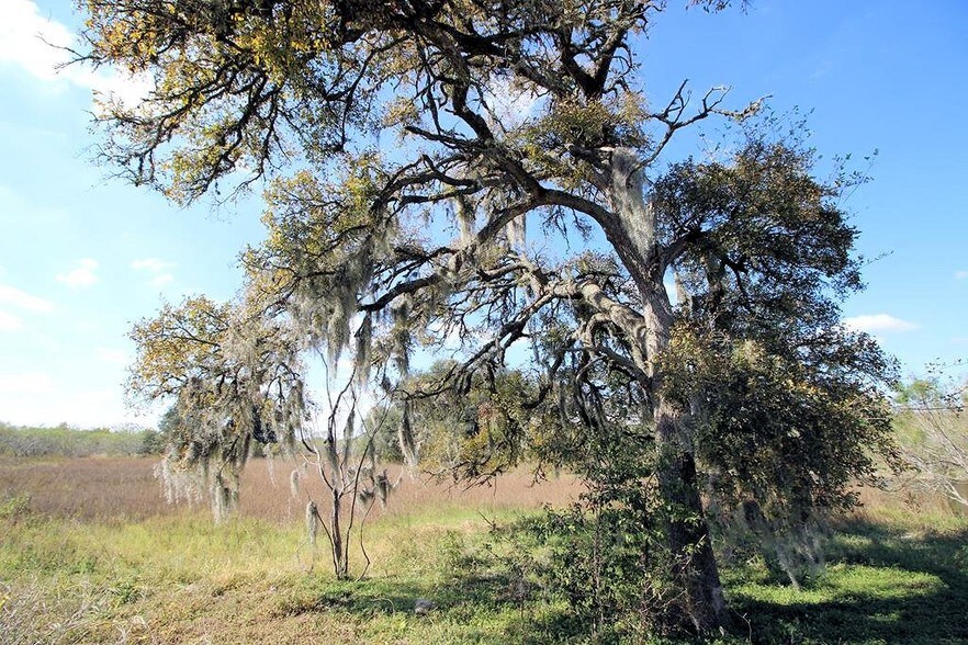 More Photos Of 1845 Silent Valley Rd, Lockhart Land For Sale