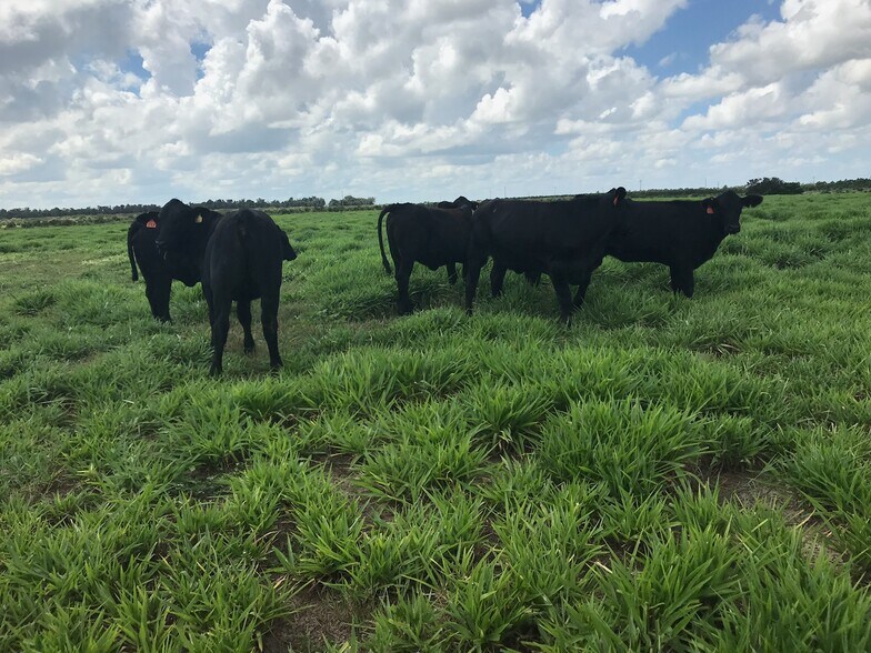 More Photos Of 00 MARSHAL ROAD, Bartow Land For Sale