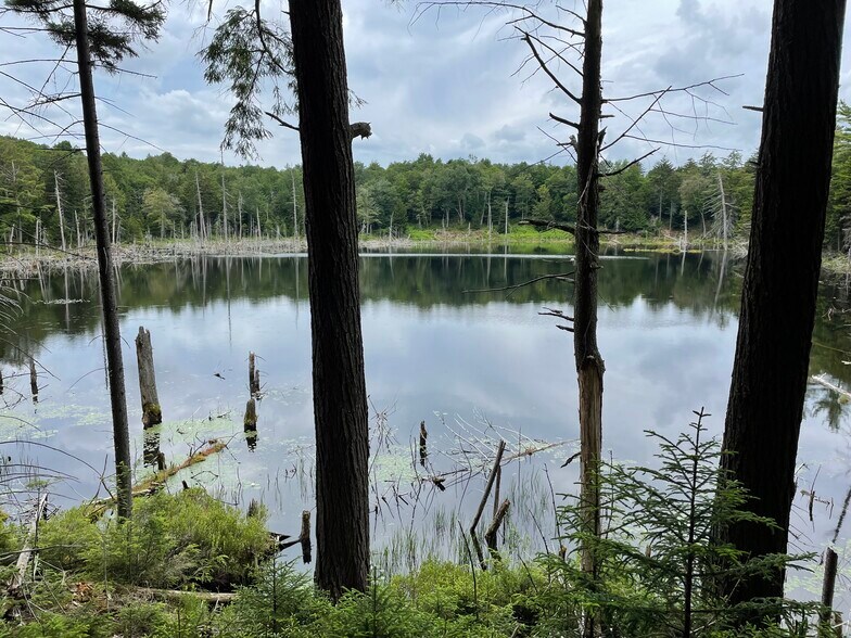 More Photos Of 1594 Elk Pond rd, Long Lake Land For Sale