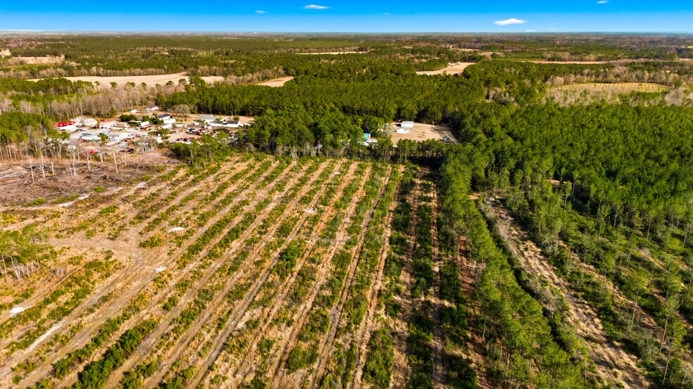 More Photos Of Highway 45, Loris Land For Sale