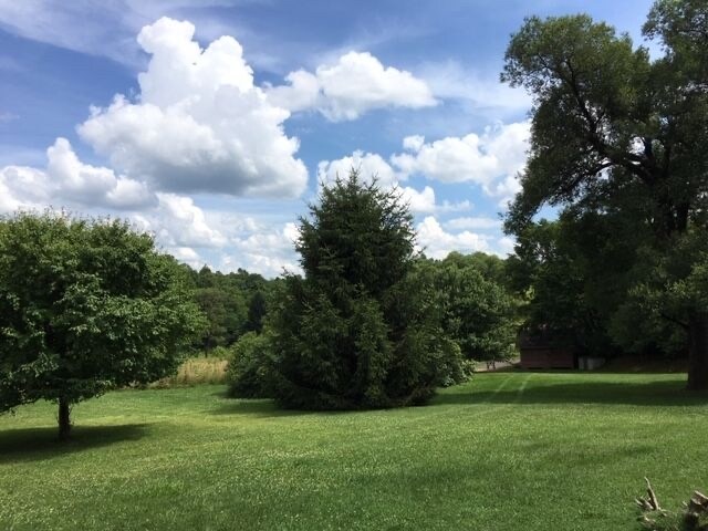 More Photos Of 319 Bryson Neal rd, Hico Land For Lease