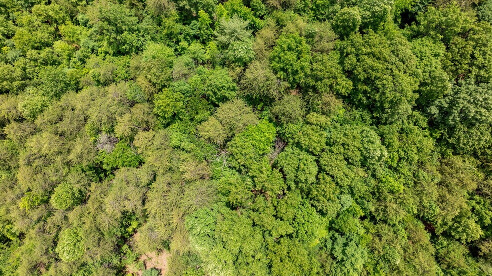 More Photos Of 1981 Jamestown Rd, Morganton Land For Sale