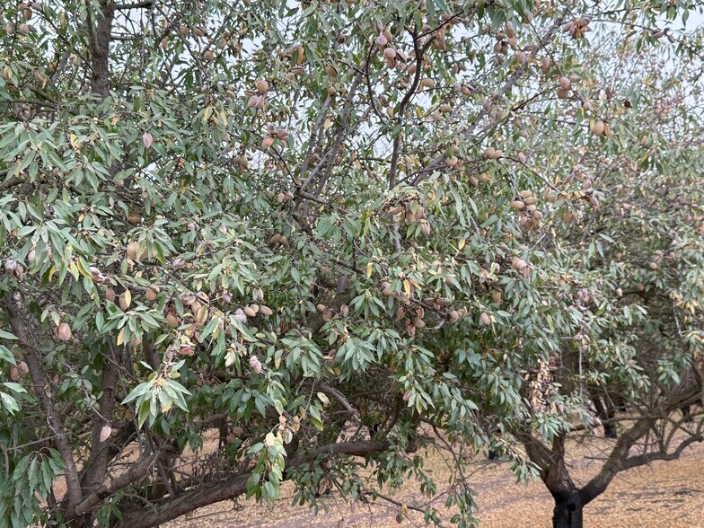 More Photos Of E. Keyes Rd @ Montpelier Rd, Denair Land For Sale