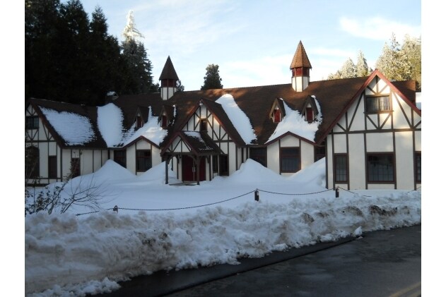 More Photos Of 815 Arrowhead Villa Dr, Crest Hotel For Sale