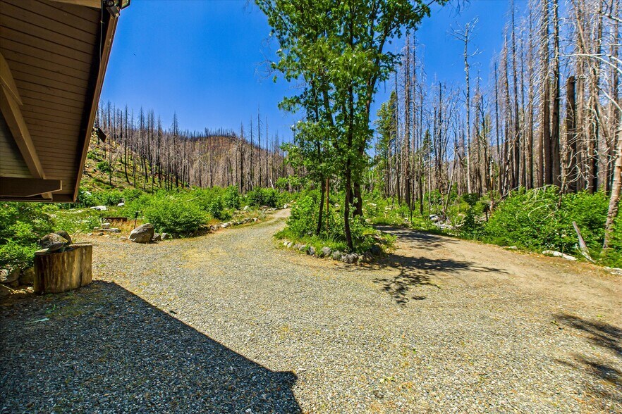 More Photos Of 2103 Coffee Creek Rd, Trinity Center Land For Sale