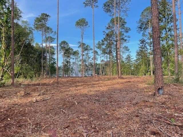 More Photos Of 1408 Us 82 W, Leesburg Land For Sale