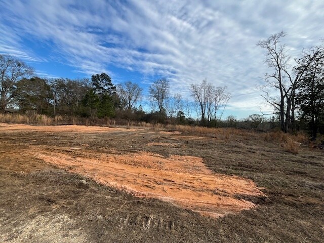 More Photos Of 52000 Block US-31 Hwy, Perdido Land For Sale