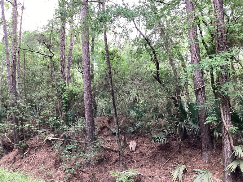 More Photos Of 0 County Road 4876, Dayton Land For Sale