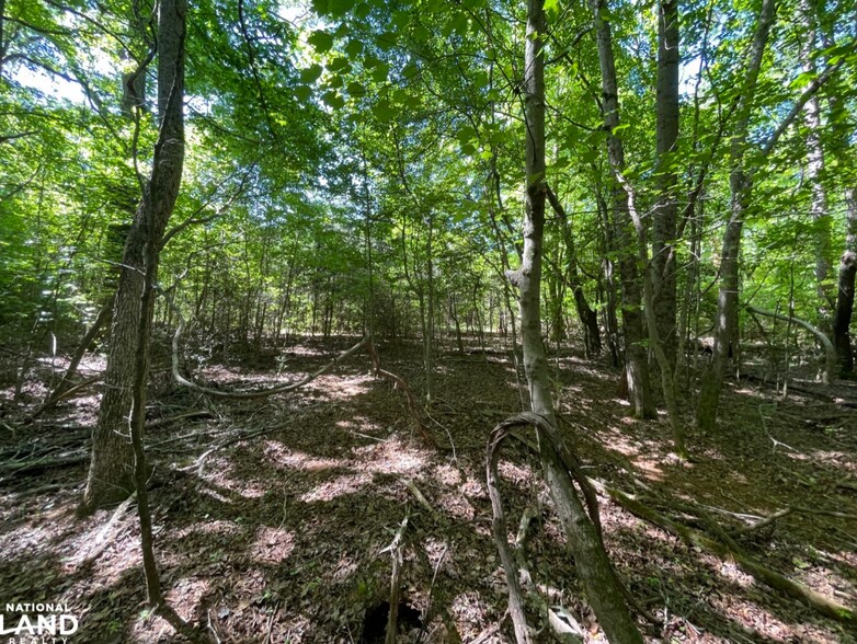 More Photos Of 0 Gibbs Road, Wellford Land For Sale