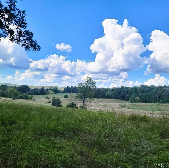 More Photos Of 1710 Ripley 142w-7, Gatewood Land For Sale
