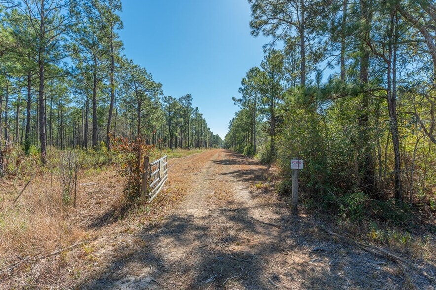 More Photos Of Hwy 331 S & Jolly Bay Road, Freeport Land For Sale
