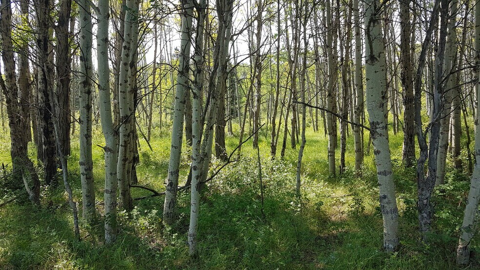 More Photos Of 1 Bow River, Rocky View No 44 Land For Sale