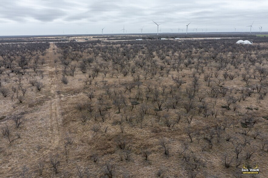 More Photos Of 10737 Interstate 20 W, Clyde Land For Sale