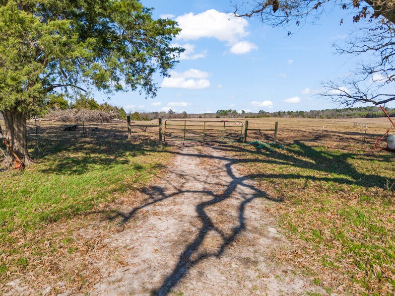 More Photos Of 255 County Road 4645, Winnsboro Land For Sale