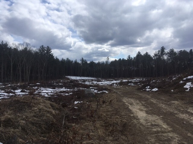 More Photos Of 290 Millville Rd, Uxbridge Land For Sale